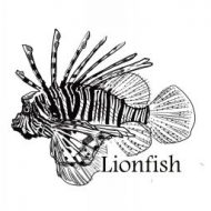 Lionfish Tattoo Lansing MI